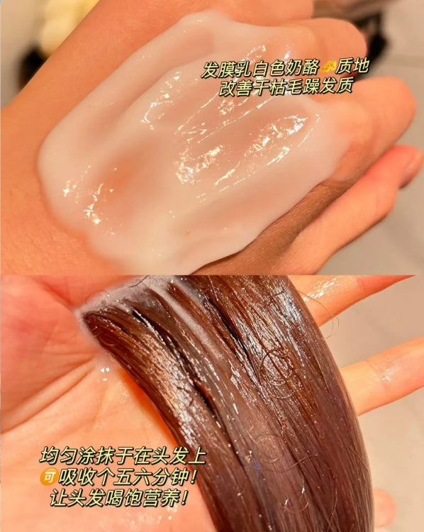 8+minutes Ginseng & Tea Tree Pure Shampoo/Conditioner 420ml/260ml 弹动人参茶树纯露洗发水/护发素