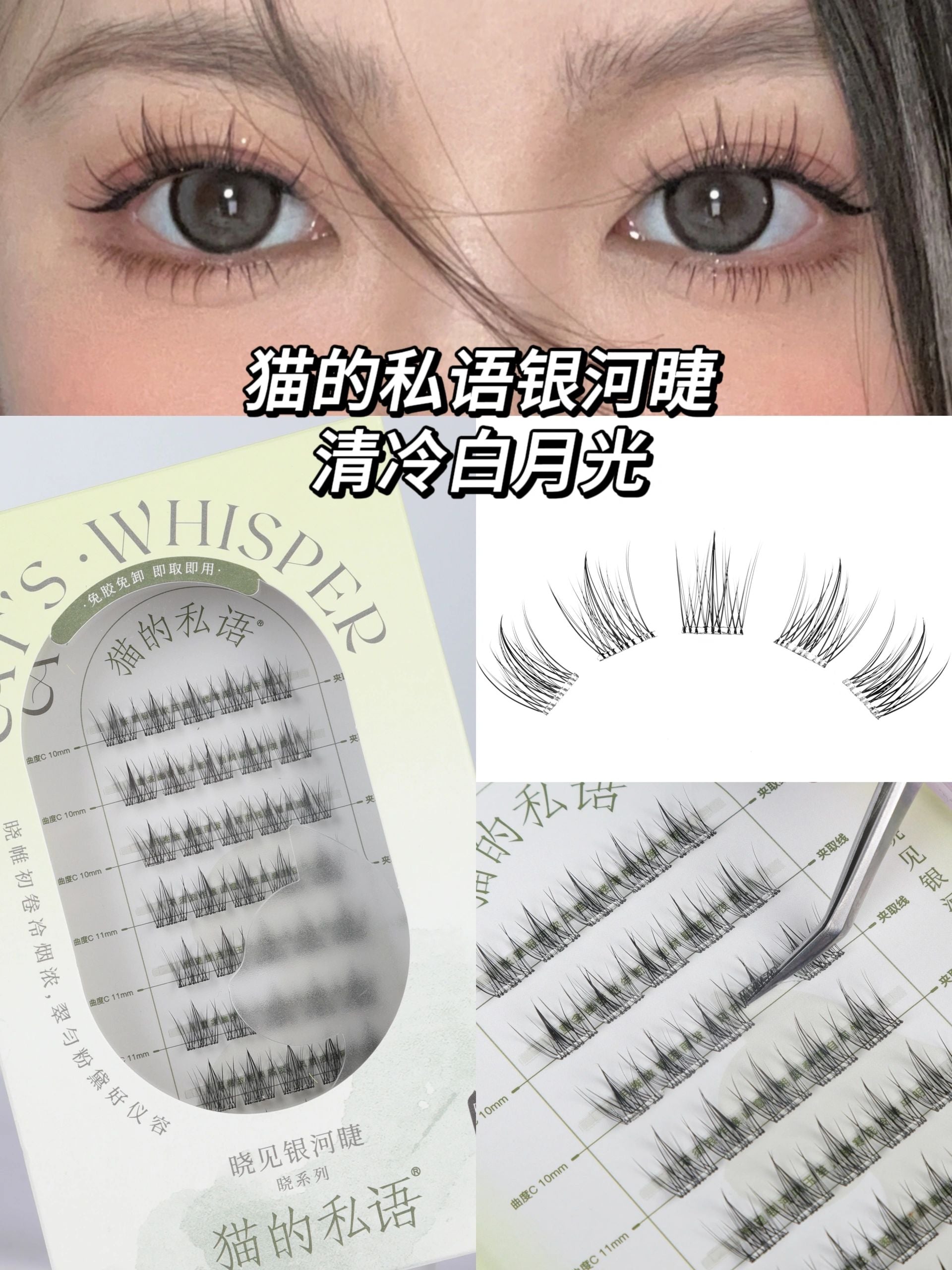 Cat's Whisper Glue-Free False Eyelashes 猫的私语免胶分段假睫毛