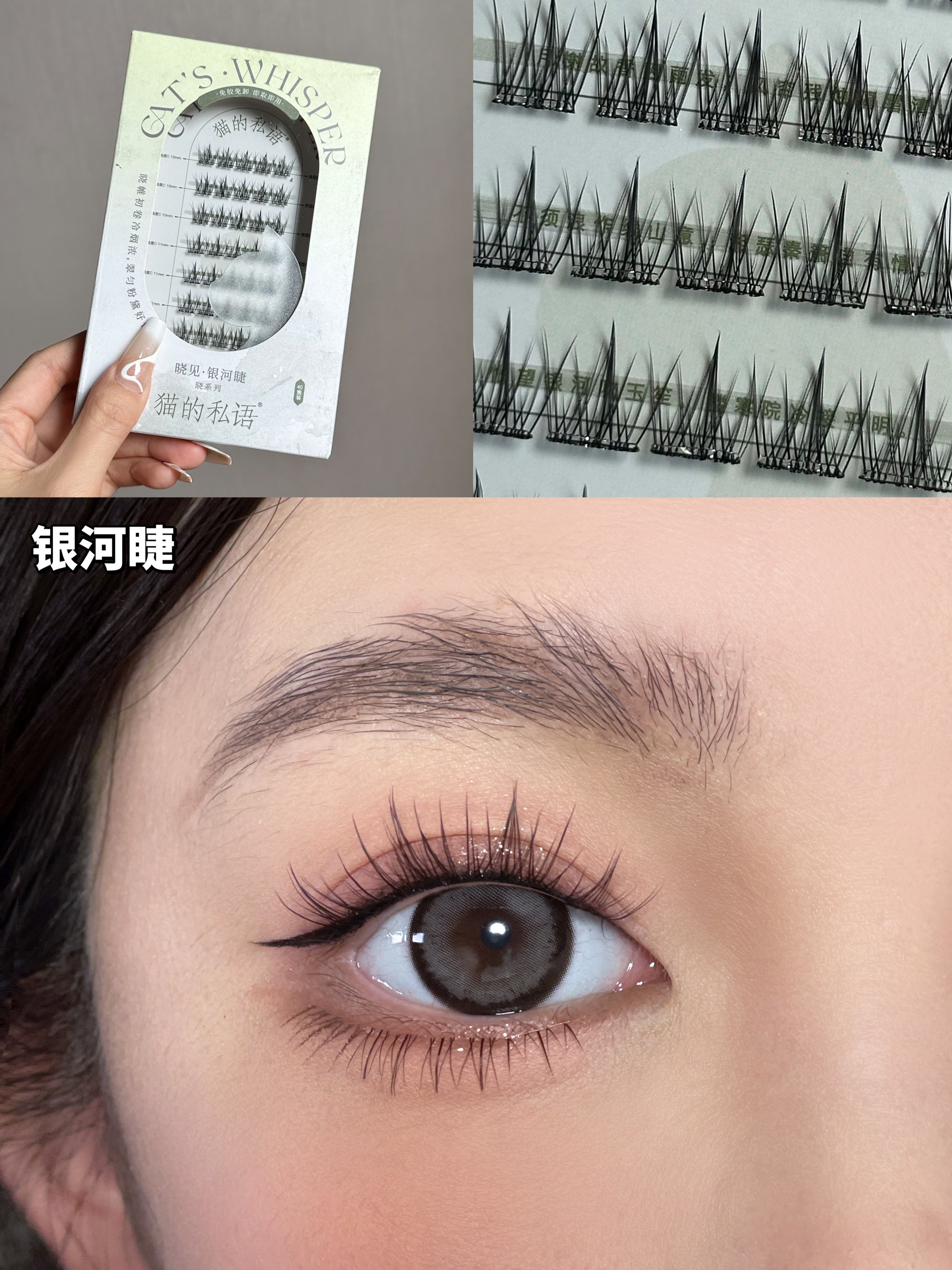 Cat's Whisper Glue-Free False Eyelashes 猫的私语免胶分段假睫毛