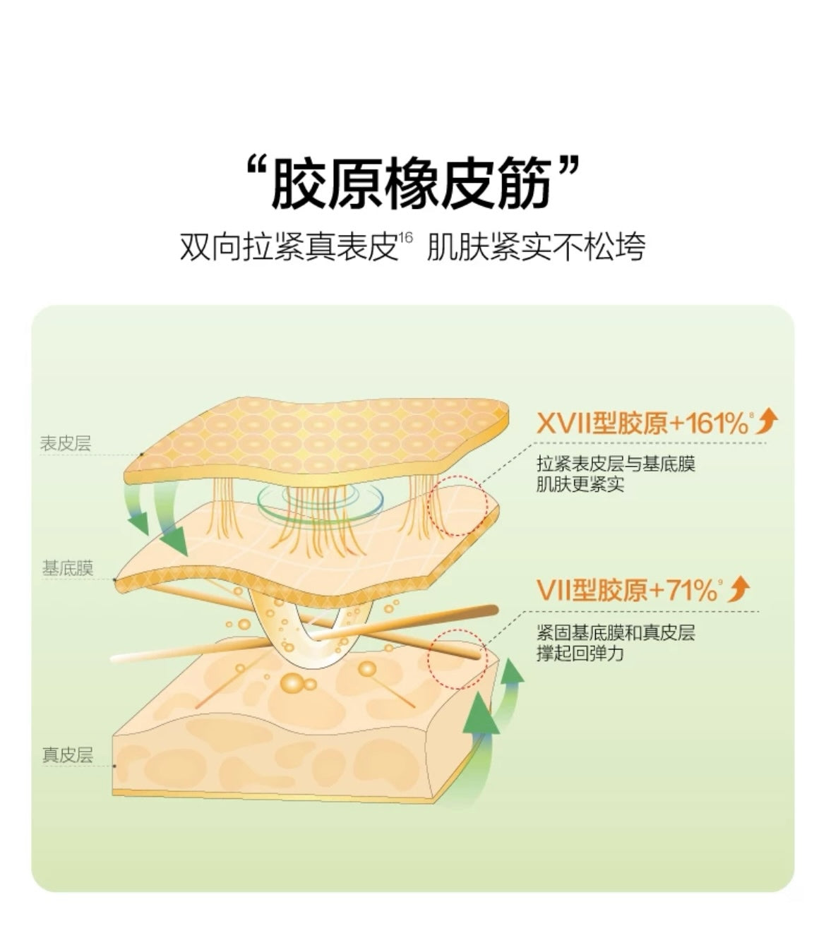 HBN Fibronectin Repair Moisturizing Cream 50g HBN纤连蛋白修护凝水露