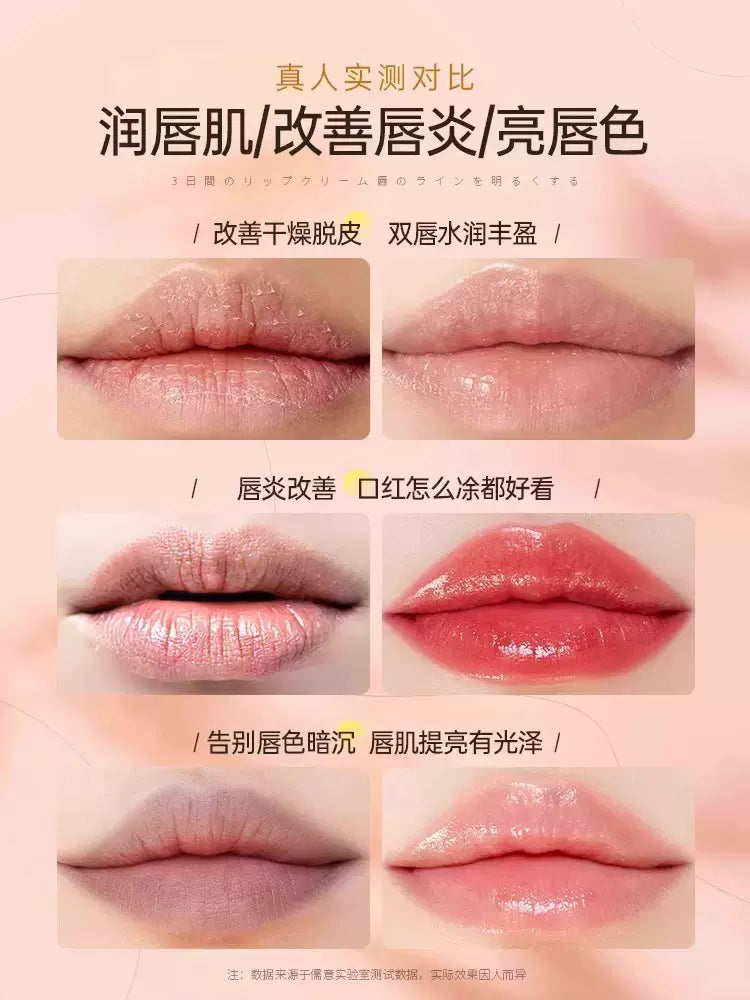 Tiktok/Douyin Hot Xiaoshumei Faint Lines Color-changing Lip Essence Oil 4g 【Tiktok抖音爆款】小树美淡纹变色唇部精华油